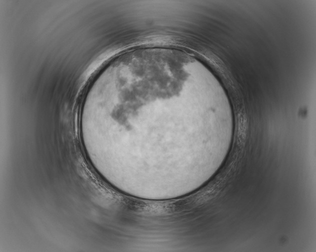 X0000115591078200912081044