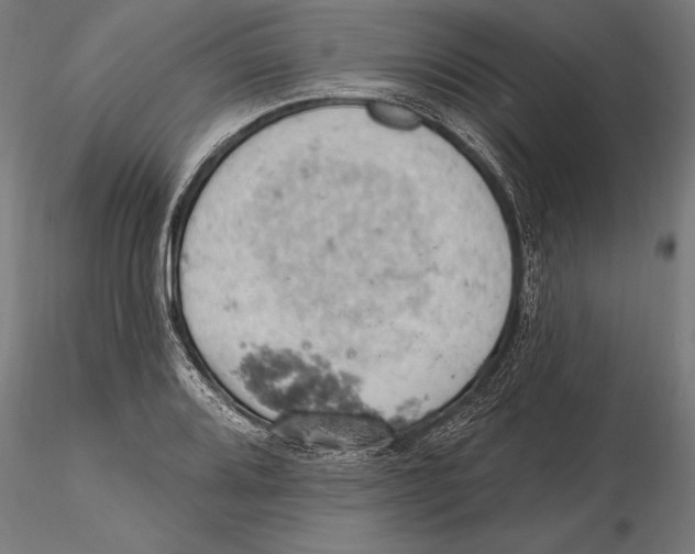 X0000115591080200912081044