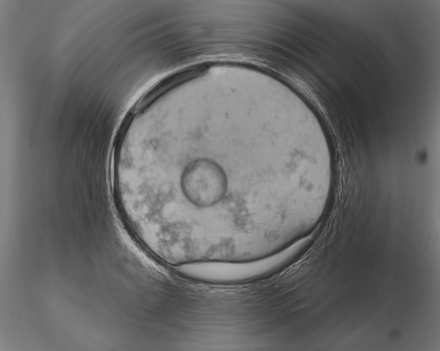 X0000115591084200912081044