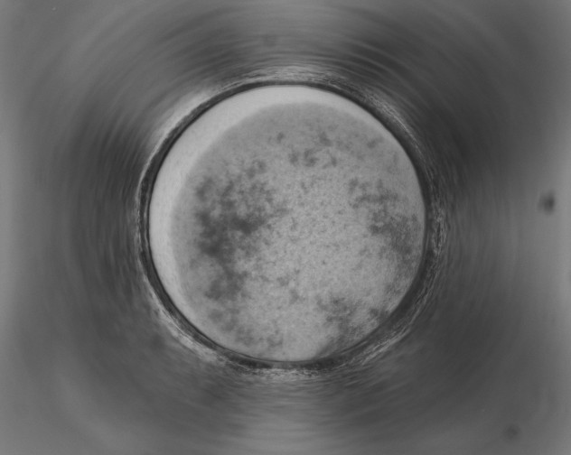 X0000115591087200912081043