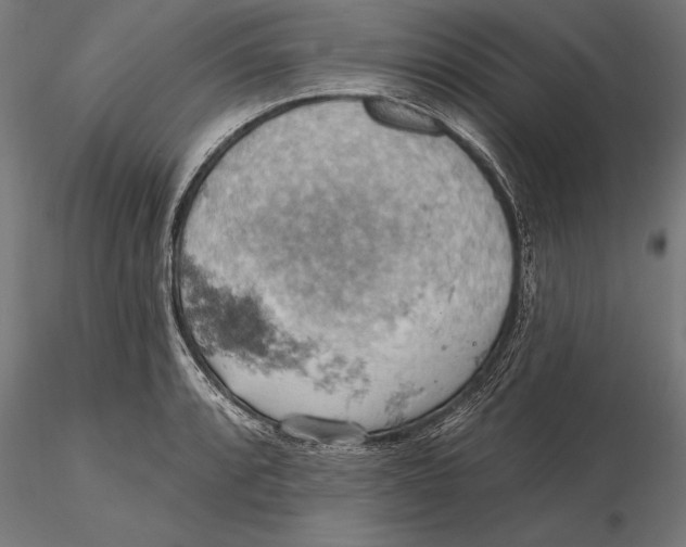 X0000115591088200912081043