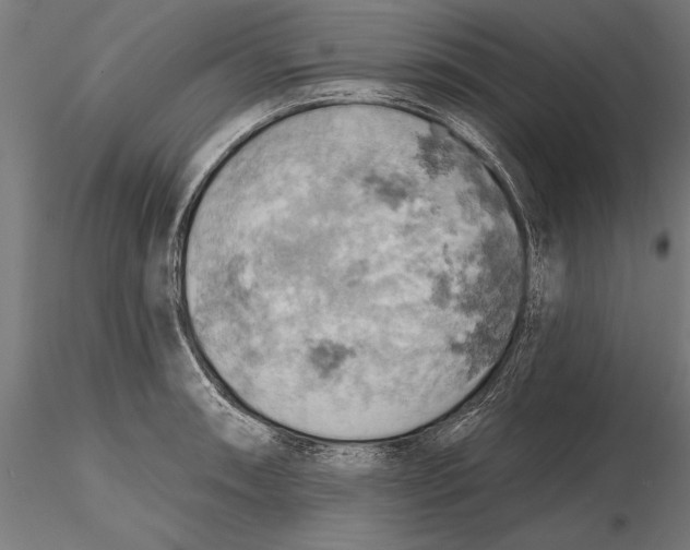 X0000115591090200912081043