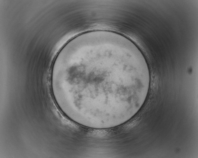 X0000115591094200912081043