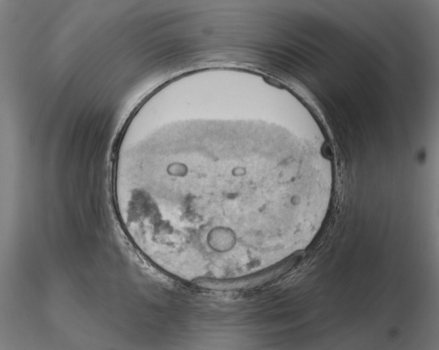 X0000115591096200912081043