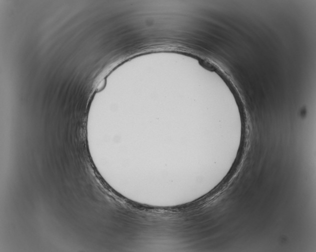 X0000115591097200912081043