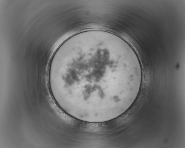 X0000115591098200912081043