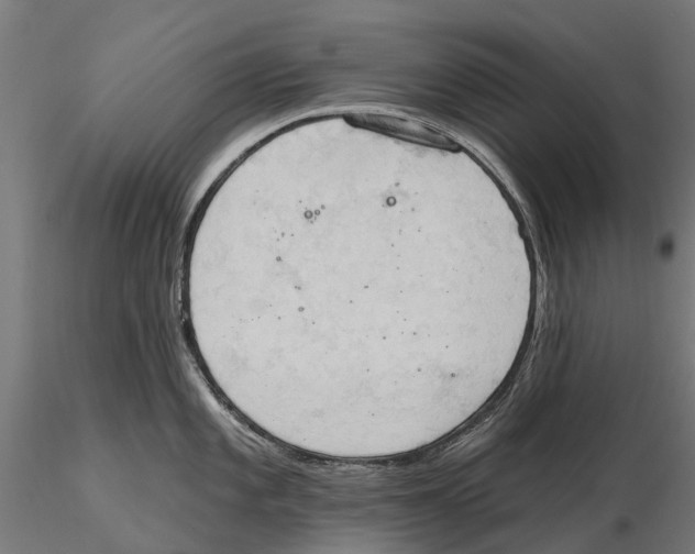 X0000115591101200912081043