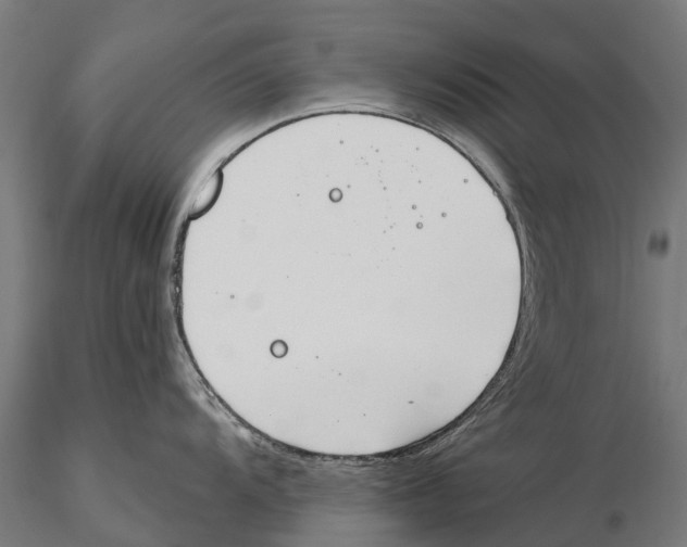 X0000115591104200912081043