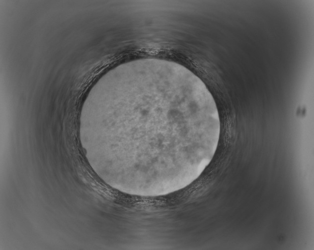 X0000115591105200912081043