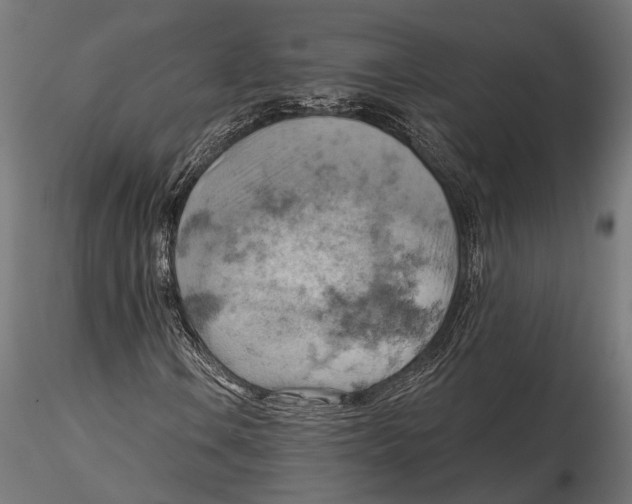X0000115591106200912081043
