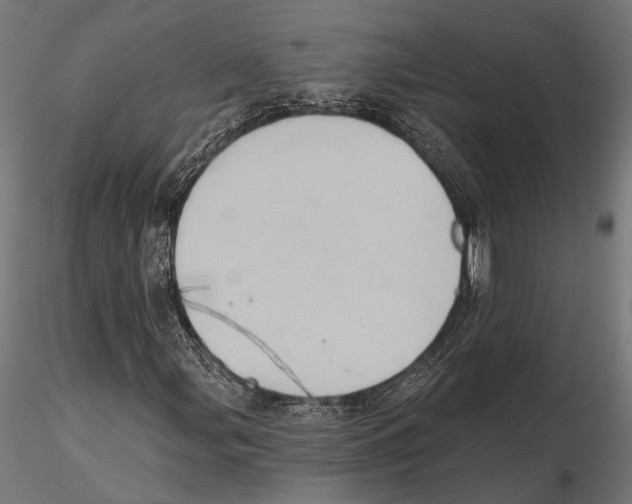 X0000115591107200912081043