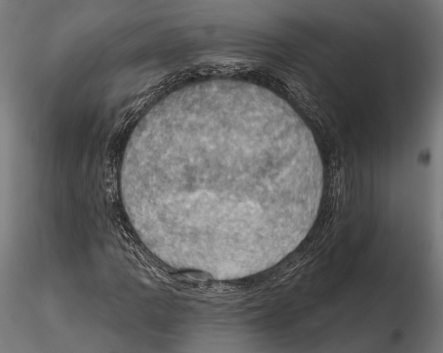 X0000115591109200912081043
