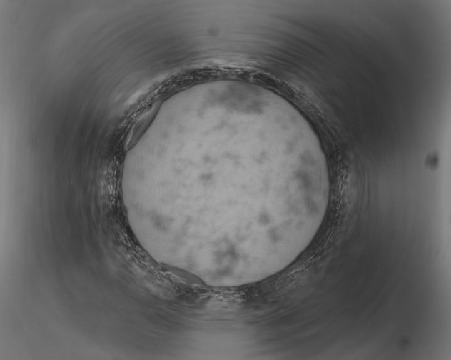 X0000115591110200912081043