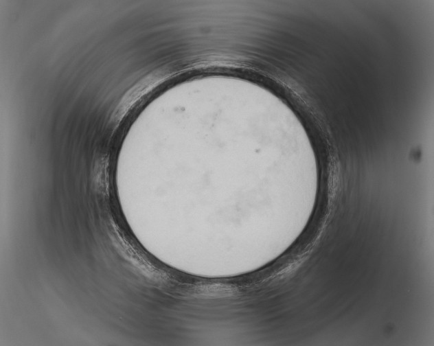 X0000115591113200912081043