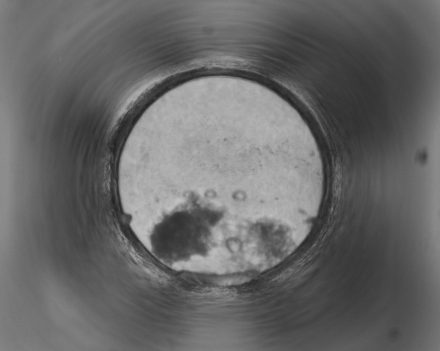 X0000115591115200912081043