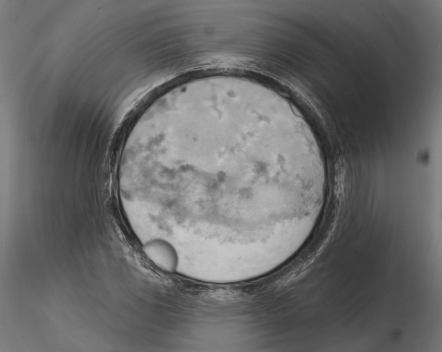 X0000115591117200912081043
