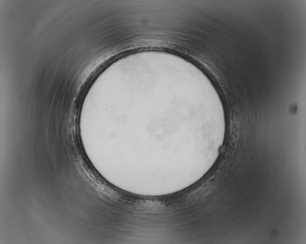 X0000115591119200912081043