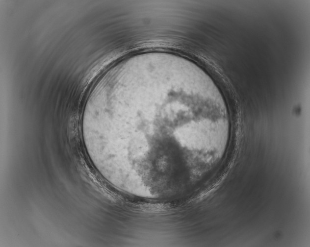X0000115591121200912081043