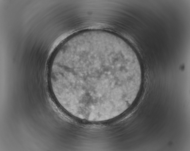 X0000115591122200912081043