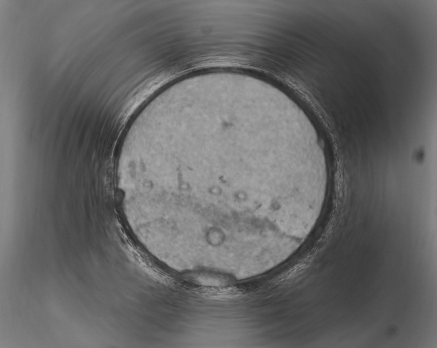 X0000115591129200912081043