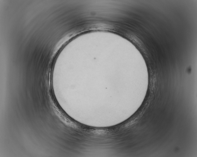 X0000115591130200912081043