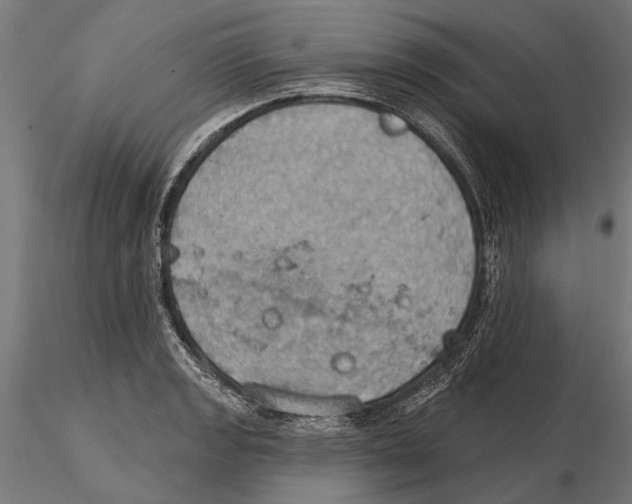 X0000115591133200912081043