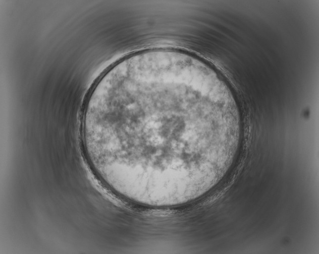 X0000115591134200912081043