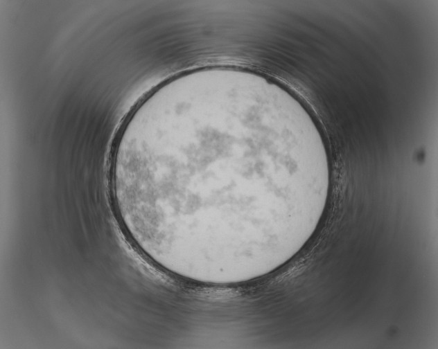 X0000115591135200912081043
