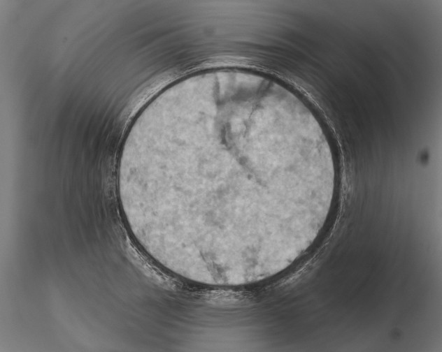 X0000115591137200912081043