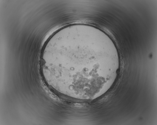 X0000115591138200912081043