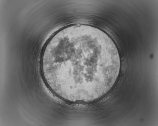 X0000115591139200912081043