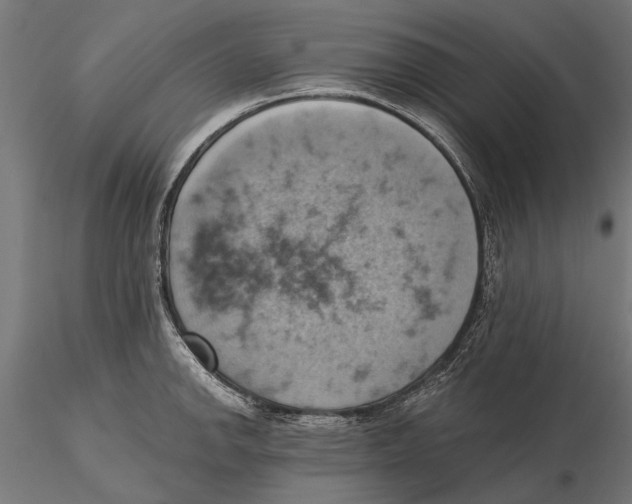 X0000115591142200912081043