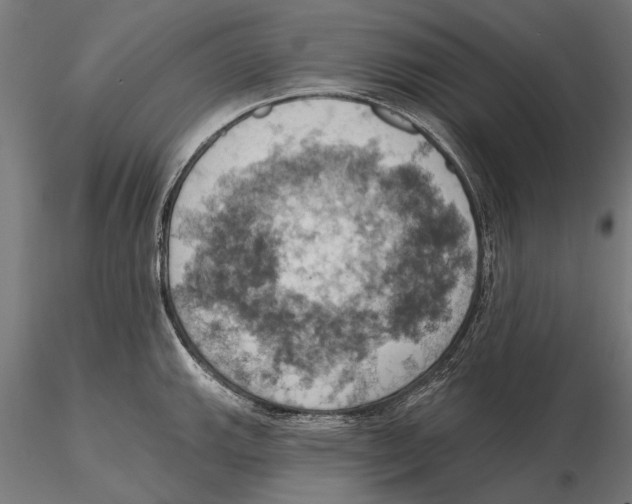 X0000115591143200912081043