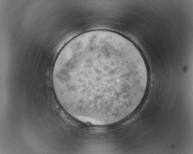 X0000115591145200912081043