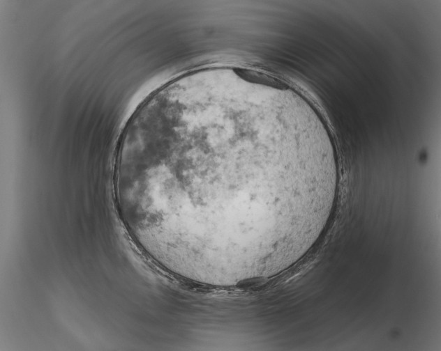 X0000115591146200912081043