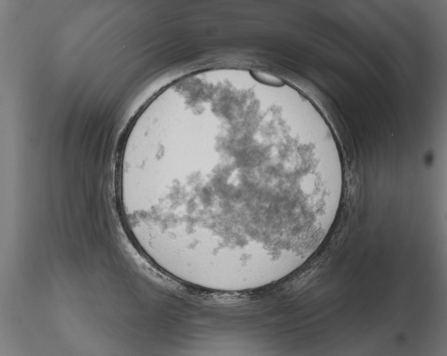 X0000115591147200912081043