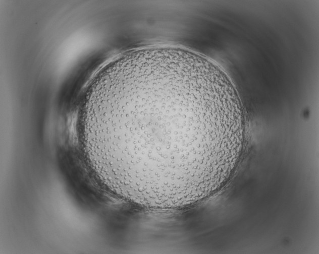 X0000115591150200912081043