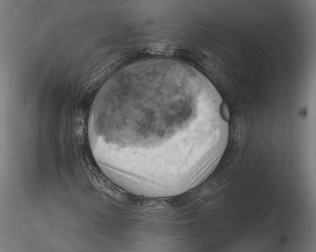 X0000115591154200912081043
