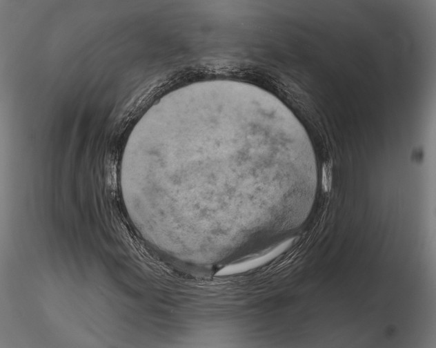 X0000115591155200912081043