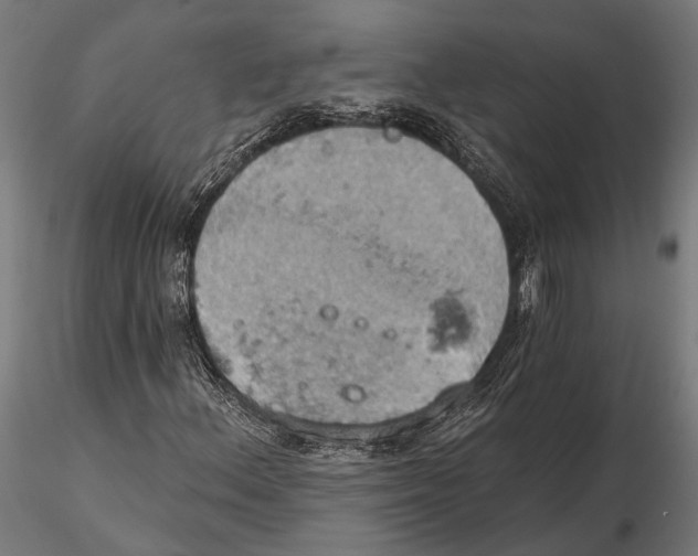 X0000115591156200912081043