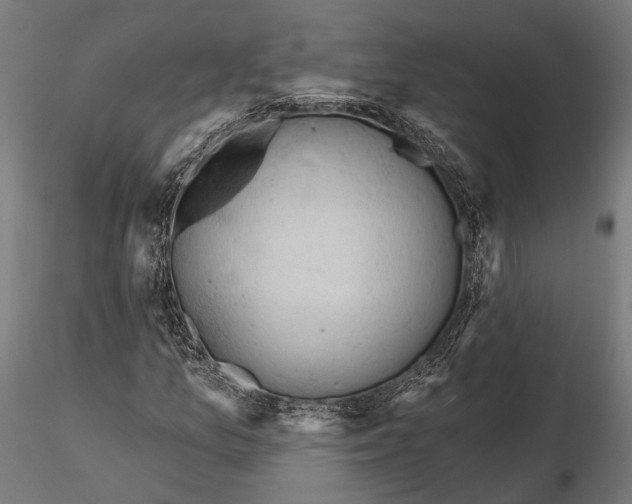 X0000115591157200912081042