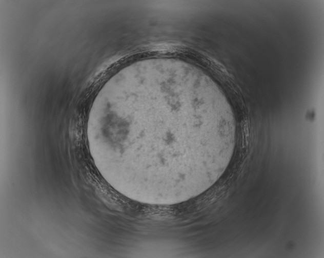 X0000115591158200912081042