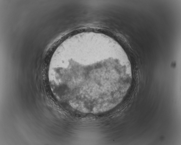 X0000115591159200912081042