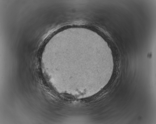 X0000115591160200912081042