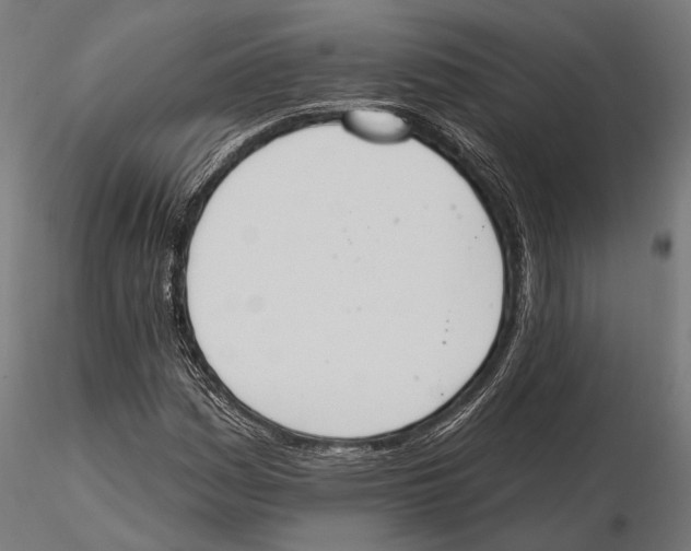 X0000115591161200912081042