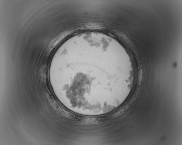 X0000115591162200912081042