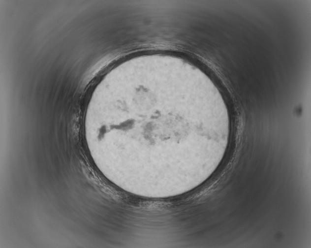 X0000115591163200912081042
