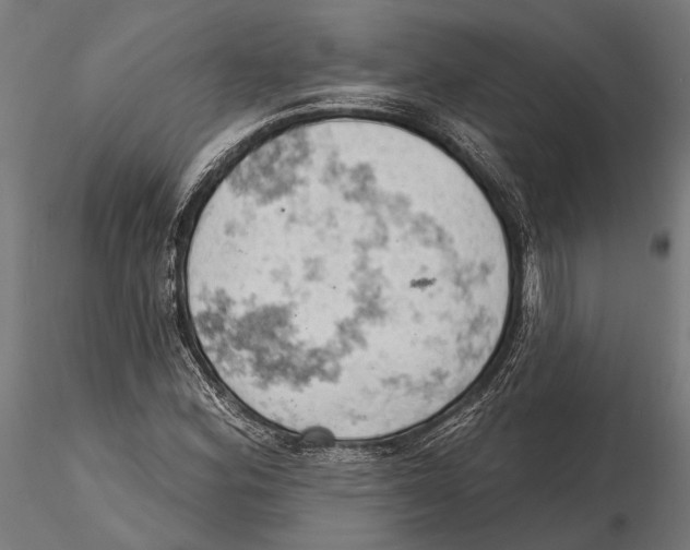 X0000115591164200912081042