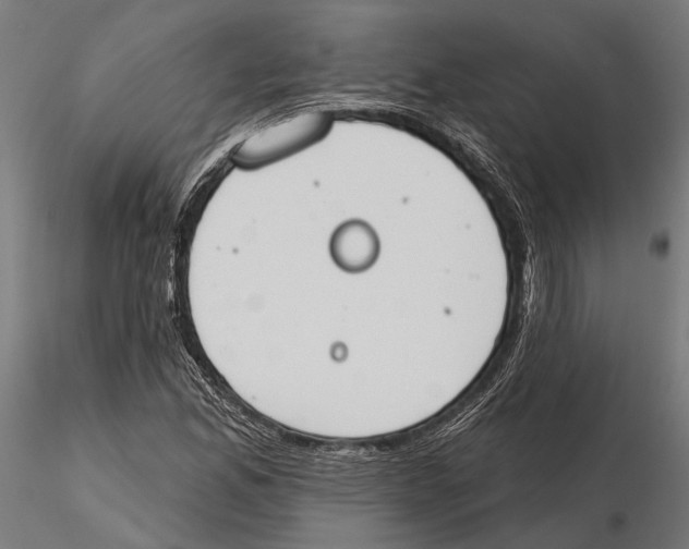 X0000115591165200912081042