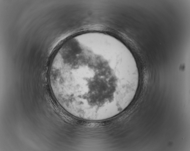 X0000115591166200912081042